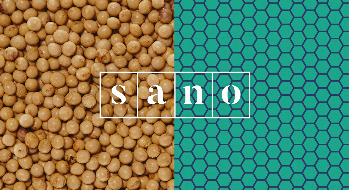 Sano食品品牌形象策略與企業vi設計，食品logo設計